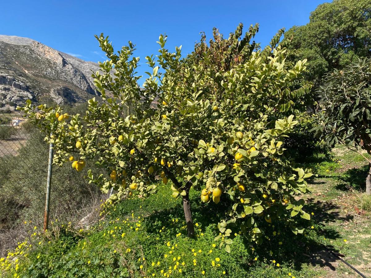 Casa El Saladillo Βίλα Valle de Abdalagís Εξωτερικό φωτογραφία