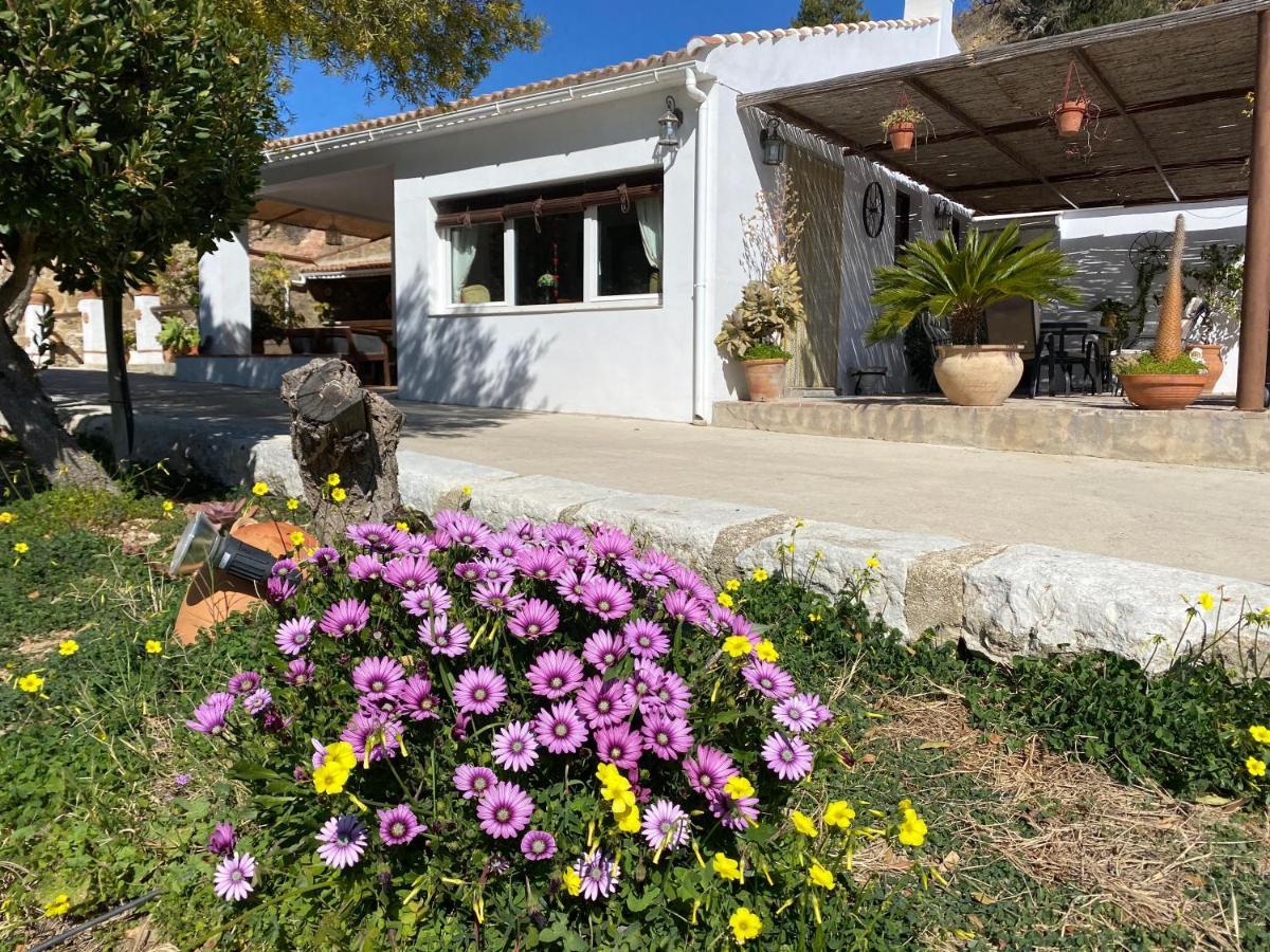 Casa El Saladillo Βίλα Valle de Abdalagís Εξωτερικό φωτογραφία
